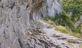 Excursión Senderismo Borce - chemin de la mature - Photo 9