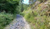 Tocht Stappen Comblain-au-Pont - Pont de Scay 20 Km  - Photo 10