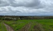 Tour Wandern Houyet - Celles pvl - Photo 10