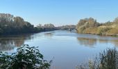 Tocht Stappen Dendermonde - Dendermonde Kastel 17,8 km - Photo 15