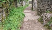 Trail Walking Montmeyan - les basses gorges de quinson - Photo 18