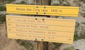 Trail Walking Saint-Martin-Vésubie - Madone de Fenestre-St Gray - Photo 3