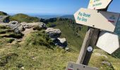 Tocht Stappen Pailherols - Pailherols  route de la montagne, plomb du Cantal - Photo 3