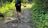 Trail Walking Livet-et-Gavet - Lac du Fourchu  - Photo 16