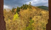 Tour Zu Fuß Hirschhorn - Rundwanderweg Rothenberg 5: Odenwald-Neckar-Runde - Photo 2