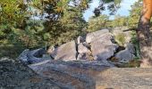 Excursión Senderismo Fontainebleau - Sentier Denecourt 7 - Photo 13