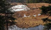 Tocht Stappen La Bresse - Tour du lac de Lispach - Photo 1