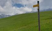 Trail Walking Tréminis - Sentier de la résistance en boucle - Photo 2