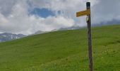 Tour Wandern Tréminis - Sentier de la résistance en boucle - Photo 2