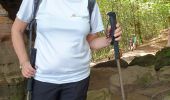 Percorso Marcia Roppeviller - Roppewiler Rochers altschlossfelsen et Diane - Photo 15