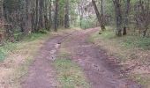 Trail Walking Saint-Nectaire - LES GROTTES DE CHATEAUNEUF DEPUIS LE CAMPING DU VIGINET - Photo 17