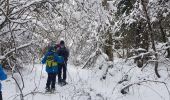 Randonnée Raquettes à neige Fraroz - rando raquette haut joux - Photo 2