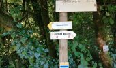 Trail Walking Pont-les-Moulins - 2020 07 12 Guillon, les narines du diable - Photo 1