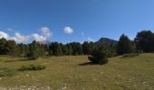 Trail Mountain bike Saint-Agnan-en-Vercors - Pré Peyret depuis la Coche - Photo 2