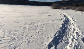 Randonnée Raquettes à neige Matemale - Tour lac mattemale neige  - Photo 9