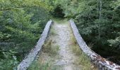 Trail Walking Châtillon-en-Diois - Circuit des Baumes - Pont de vachères-Soubreroche - Boulc - Photo 13