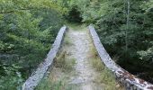 Tour Wandern Châtillon-en-Diois - Circuit des Baumes - Pont de vachères-Soubreroche - Boulc - Photo 13