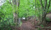 Tocht Stappen Verviers - Séroule - Ensival - Photo 4