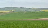 Trail Walking Escalles -  Cap Blanc Nez-Wissant-mont de Couple 25 km - Photo 7