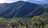 Excursión Senderismo Roquebrune-sur-Argens - Col du Bougnon - Peigros - Photo 6