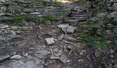 Trail Walking Saumane-de-Vaucluse - saumane et ses environs - Photo 7