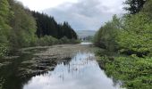 Tocht Stappen Condat - Lac des Moines Chemin du lac - Photo 1