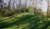 Tour Zu Fuß Siegendorf - Siegendorfer Naturfreunde-Wanderweg - Photo 2