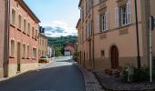 Tour Zu Fuß Schengen - Naturpfad Reif - Photo 6