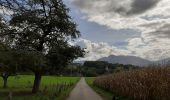 Randonnée Marche Alby-sur-Chéran - Promenade des Pommiers  - Photo 15