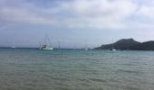 Trail Walking Hyères - Porquerolle côté Est (Pointe des Mèdes) - Photo 6