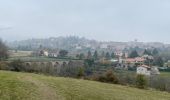 Excursión Senderismo Pélussin - Chemin du tacot au départ de Pélussin - Photo 4