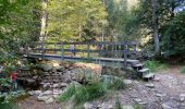 Tour Wandern Monschau - Mützenich Ternell 22 km - Photo 5