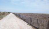 Trail Walking Torreilles - Les Dunes Juhègues - Photo 2