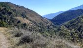 Excursión Senderismo La Cabanasse - Mois pontpedrouse après montée en train jaune  - Photo 15