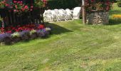 Tour Wandern Le Val-d'Ajol - Cascade de Faymont - Photo 5