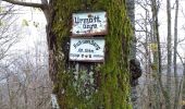 Tour Wandern Mühlbach an der Breusch - Muhlbach sur Bruche - Photo 1