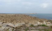 Randonnée Marche Pleumeur-Bodou - île grande - Photo 10