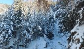 Tour Schneeschuhwandern Chamonix-Mont-Blanc - 20230124 Chamonix Cascade du Dard - Photo 1