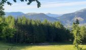 Trail Walking Seyne - SEYNES,  S Pons , Bellevue,  Clot des Ayres , cabane Jaubert o m - Photo 1