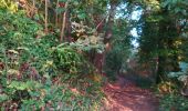 Excursión Senderismo Le Relecq-Kerhuon - Bois du Costour- port de plaisance  - Photo 12