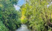 Percorso Marcia Landen - La vallée du ruisseau Mombeek : la réserve naturelle De Beemden à Attenhoven - Photo 5