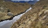 Tocht Stappen Sayausí - Laguna toreadora - vuelta corta - Photo 6