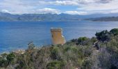 Trail Walking Saint-Florent - st Florent phare de Motella et plage Lotu - Photo 1