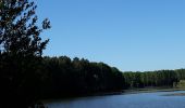 Excursión Senderismo Rou-Marson - Rou Marson le lièvre et la tortue  - Photo 3