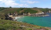 Tour Wandern Cléden-Cap-Sizun - pointe de brezelec 2019 - Photo 8