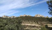 Trail Walking Gigondas - Dentelles Montmirail  - Photo 8