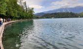 Trail Walking Bled - bled - tour du lac - Photo 3