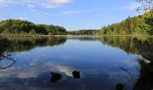 Tour Zu Fuß Bad Endorf - Wanderweg 12 - Bad Endorf - Photo 2