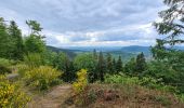 Trail Walking Saint-Dié-des-Vosges - col de la Crenee roche corbeau camp Celtique  - Photo 4