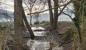 Trail Walking Valorbiquet - Aux alentours de St Cyr du Ronceray  - Photo 13